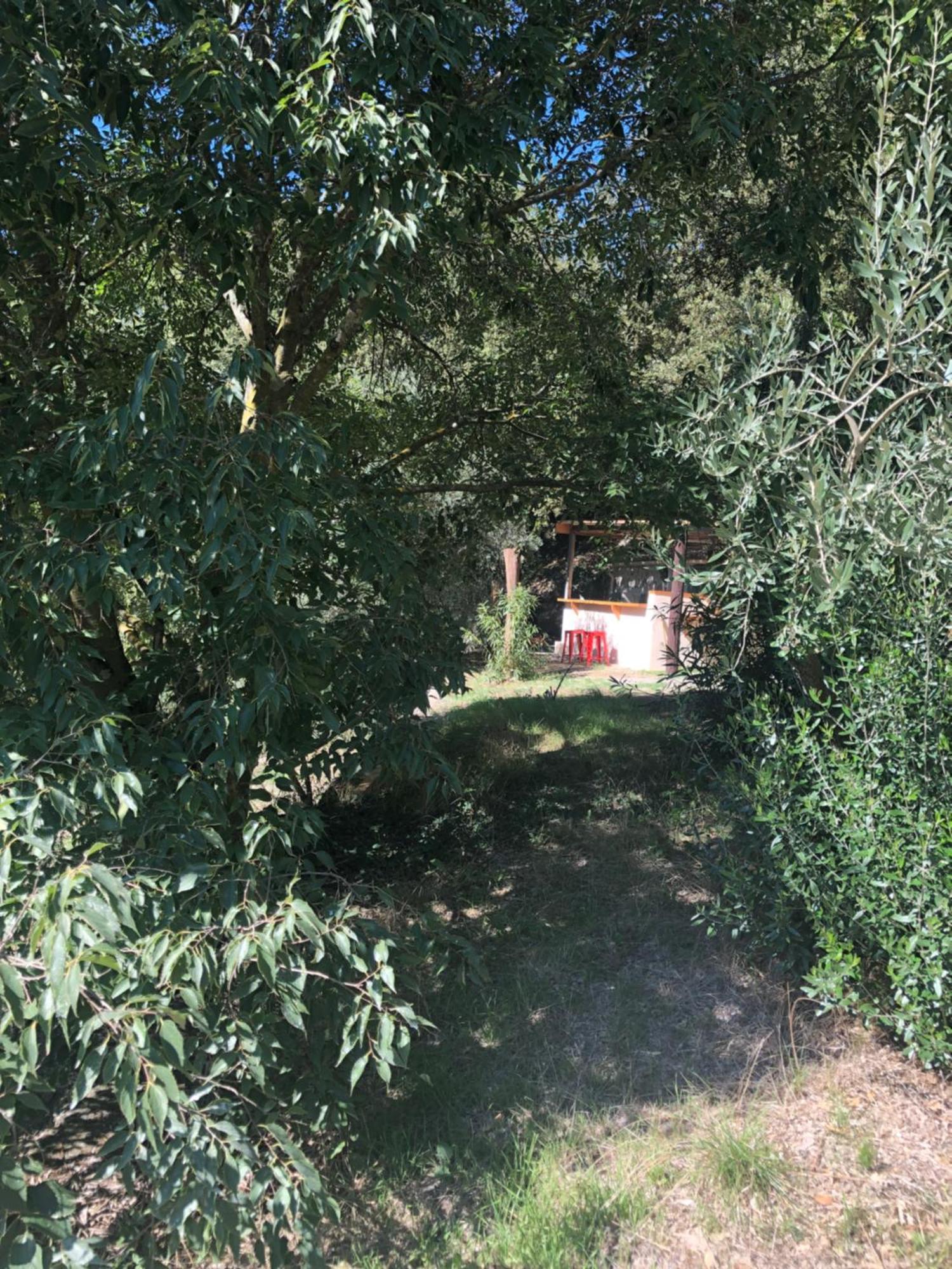 L'Olivier Fleurie Barjols Villa Eksteriør bilde