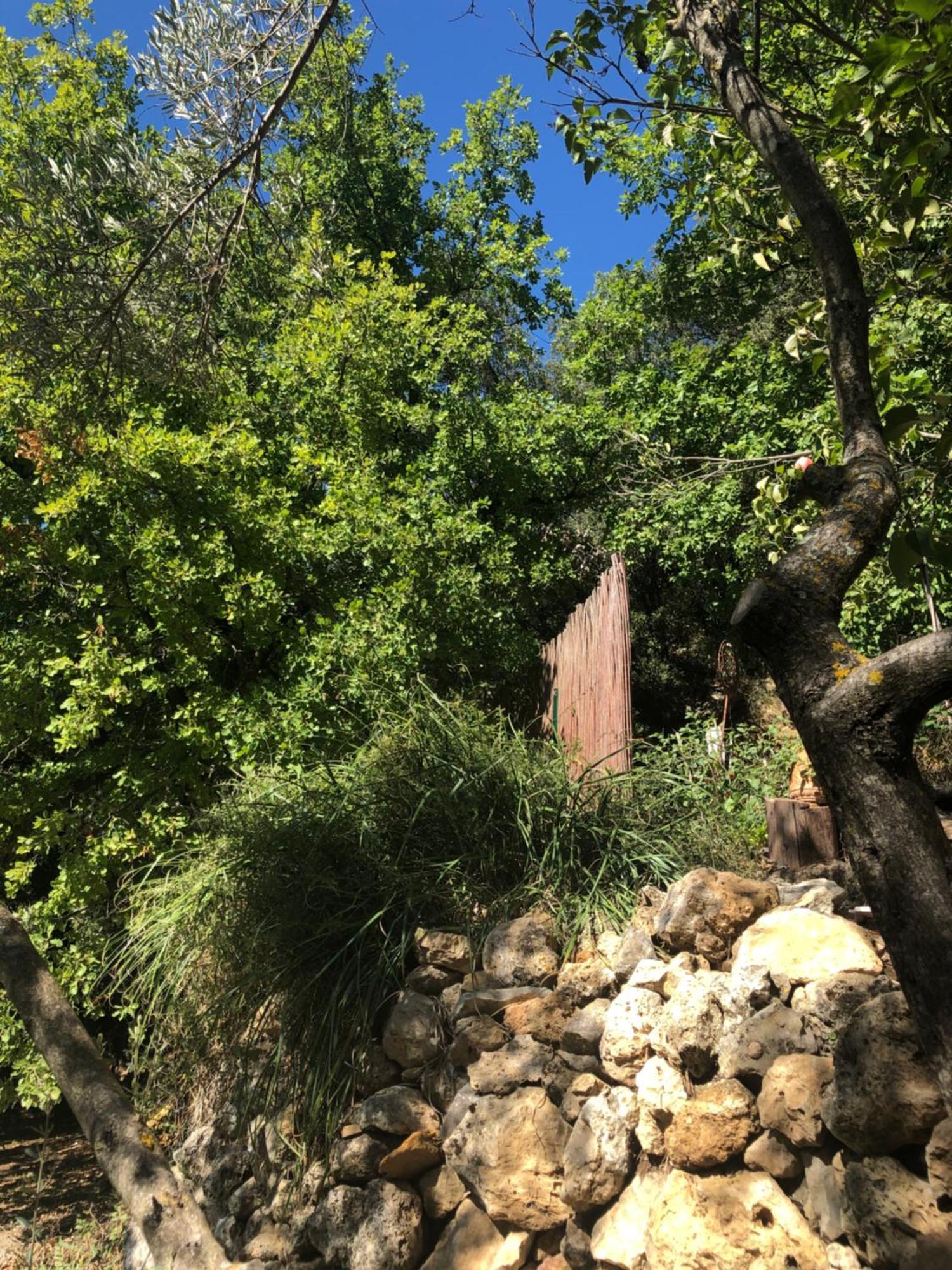 L'Olivier Fleurie Barjols Villa Eksteriør bilde